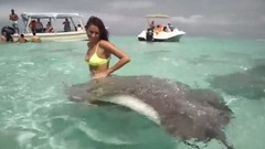 C罗前女友与鲨鱼共舞 性感身姿引鱼儿亲吻