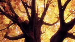 Ernesto Cortazar - Waiting For You