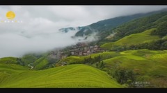 轻音乐 - 九妹(竹笛)