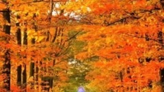 轻音乐 - 梦的传说钢琴