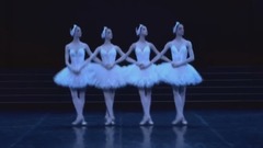 轻音乐 - 四小天鹅舞曲