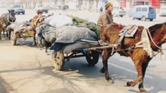 轻音乐 - 扬鞭催马运粮忙