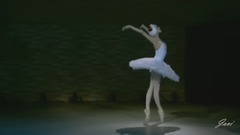 芭蕾舞《圣桑 天鹅》