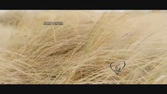 PRINCESS OF THE NIGHT - Richard Clayderman