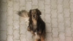 Cosa Hai Messo Nel Caffe