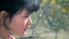 影视原声 - 妹妹找哥泪花流