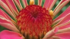 轻音乐 - 钢琴曲 心语星愿