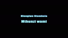 Mthunzi Wami