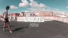 Los Vinagres - Morena (Audio)