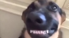 国外爆笑Vine 短片合集 70