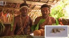 Tribes React To Polar Bears