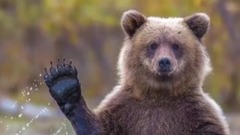 Top 8 Cele Mai Uimitoare Si Scumpe Case Din Lume