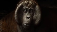 电影<奇幻森林>Cut 下部 中文字幕