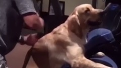 国外爆笑Vine 短片合集88