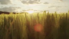 Chris Janson - Who's Your Farmer