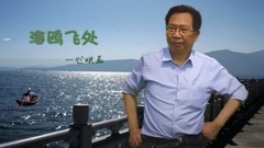 海鸥飞处 . yixin映画