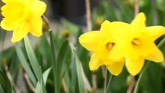 用你的温柔取暖