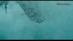 影视原声 - 电影<鲨滩>