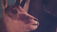 Kid Rock - Tennessee Mountain Top