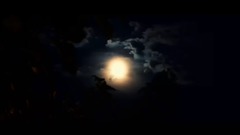 轻音乐 - 在银色的月光下