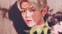 鹿晗 - 全部都是你(舔屏向混剪)