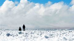 江一燕,华语群星 - 电影《七十七天》“出发版”预告