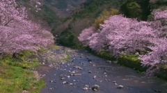 谁在红尘里等待