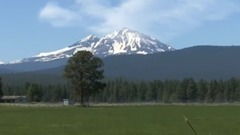 三言两语话知味