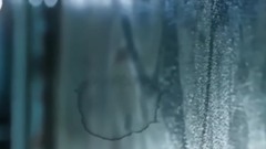 The Devil's Back VIDEO