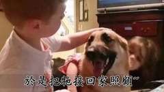 主人刚救了一只德国狼犬回家,隔天突然发狂扑向小女儿!当众人见状冲上前想阻止时竟看到让人心碎的画面!