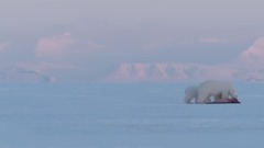 <猎捕.The.Hunt>  第二集