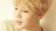 JIMIN(防弹少年团) - BTS LOVE YOURSELF 承 Her Serendipity