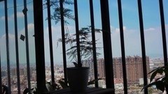 忙碌而又松散的日子