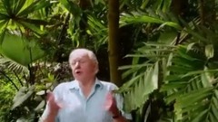 植物王国 第二集