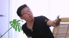 睛彩微视频s01 青龙帮