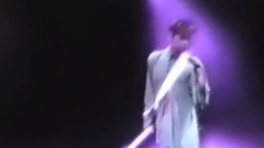 Prince - 九七巡回演唱会&采访片段