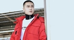 蒋劲夫 - 蒋劲夫的海外游记