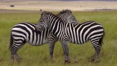 另一个世界第二部