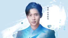 魏晨 - 魏晨 - 星辰大海是你