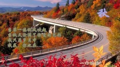 秋韵 . yixin映画