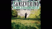 Sanseverino - À mon enterrement (audio) (Still/Pseudo Video)