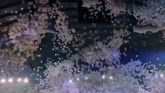 周杰伦 - 周杰伦地表最强 多角度最美<告白气球海>