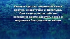 Во сне и любви нет ничего невозможного