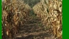 怀念故乡最好的一首歌:那就是我.