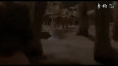 影视原声 - 奇幻森林 电视版5:老虎谢利.可汗