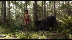 影视原声 - 奇幻森林 片段1:Show the Elephants Respect