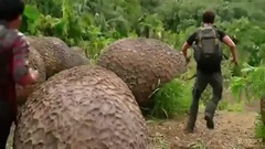 影视原声 - 地心历险记2 神秘岛