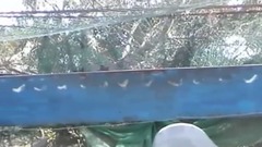 二战击沉日舰的胡里山炮台 感受厦门历史景点