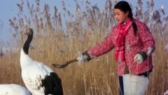 一个真实的故事