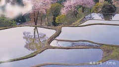 "日本一の米どころから,あなたへ."新潟の米 コシヒカリ